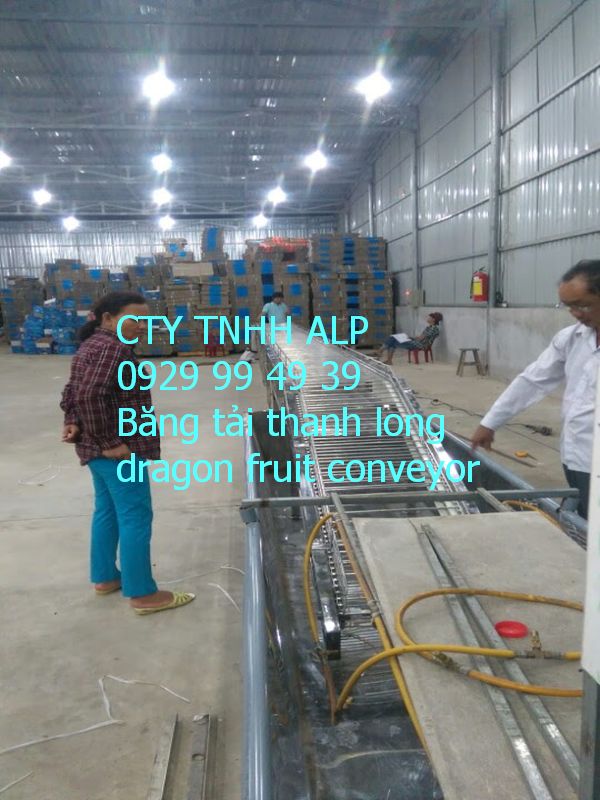 Băng tải rửa thanh long