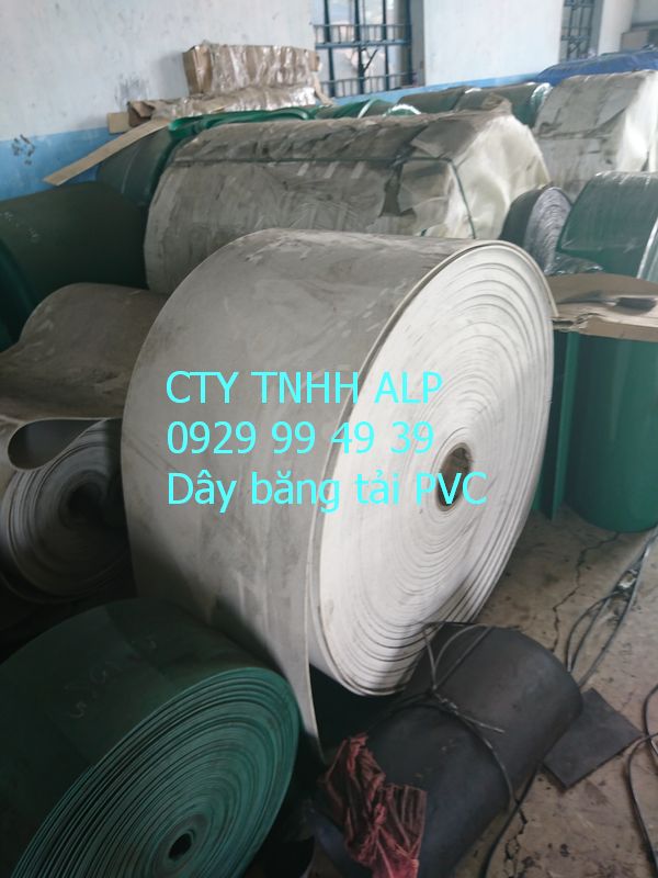 Băng tải PVC trắng – Giải pháp vận chuyển sạch và an toàn cho ngành thực phẩm